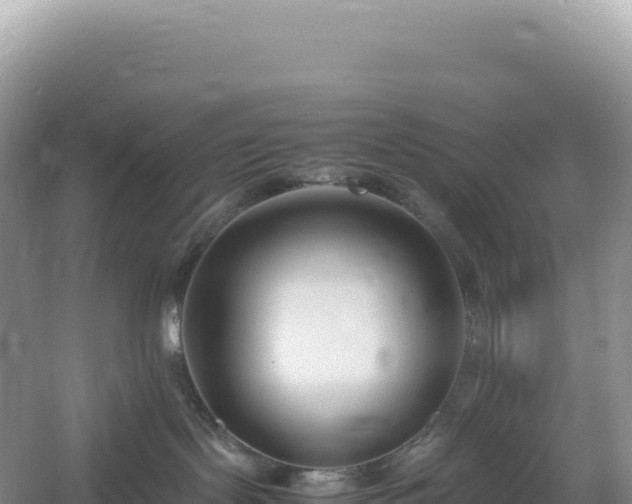 X0000054390095200508051659