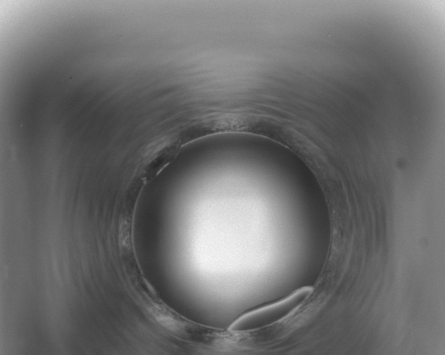 X0000054390096200508051659