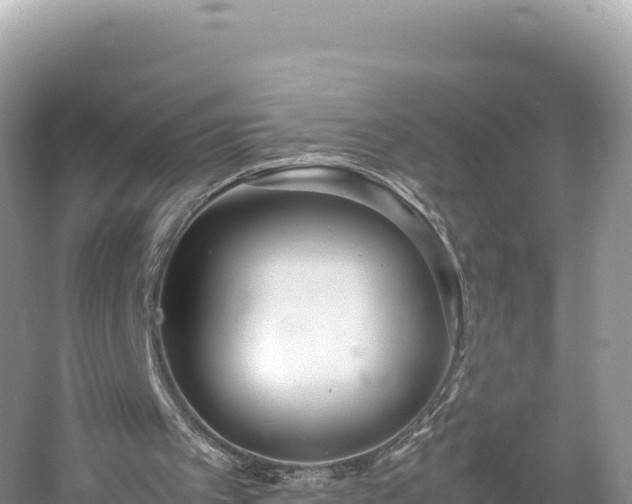 X0000054390097200508051658