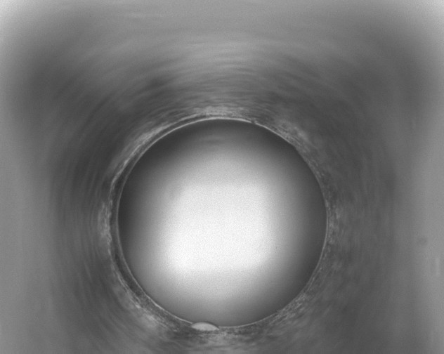 X0000054390098200508051658