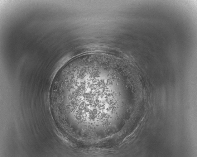 X0000054390099200508051658