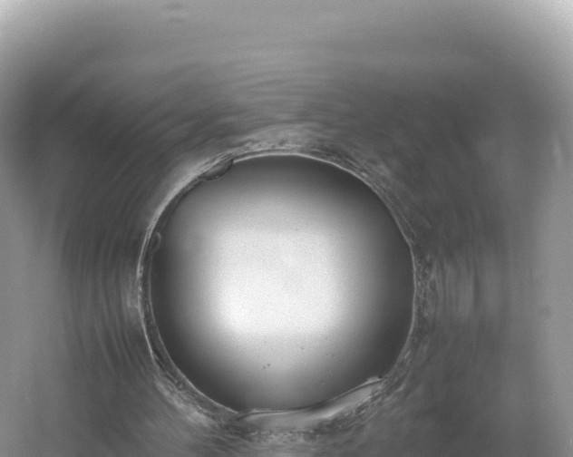 X0000054390100200508051658