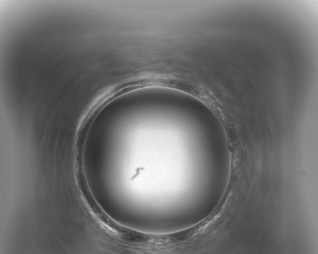 X0000054390101200508051658