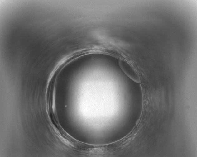 X0000054390102200508051658