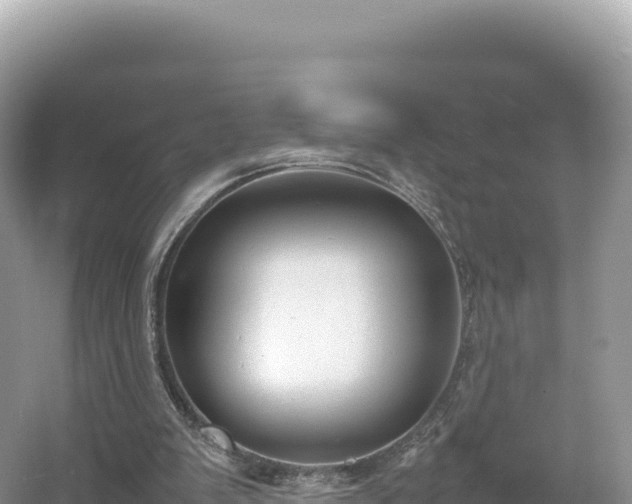 X0000054390103200508051658