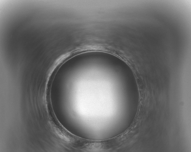 X0000054390104200508051658