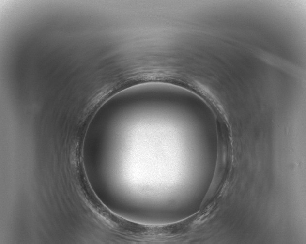 X0000054390105200508051658