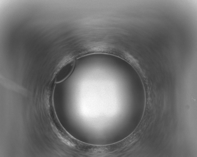 X0000054390106200508051658