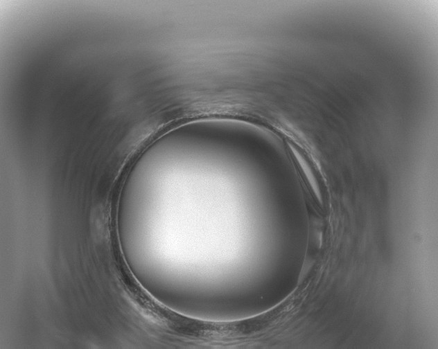 X0000054390107200508051658