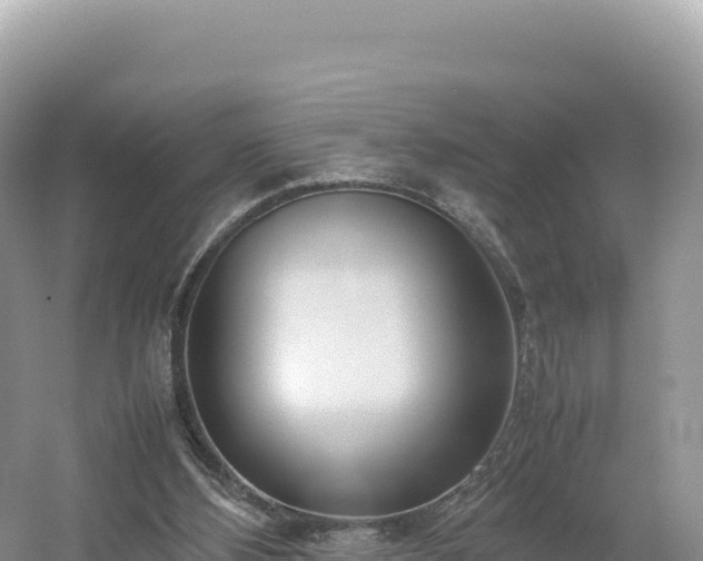 X0000054390108200508051658