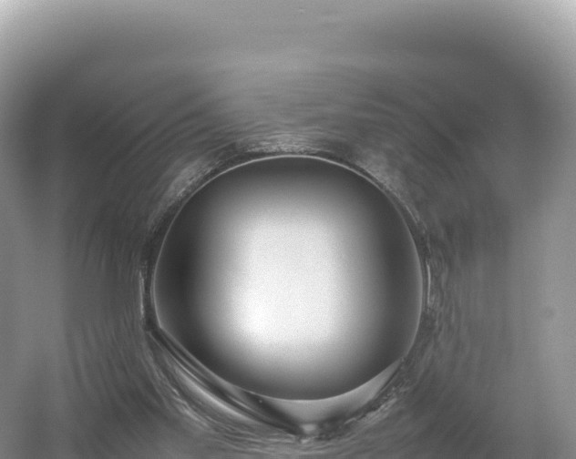 X0000054390109200508051658