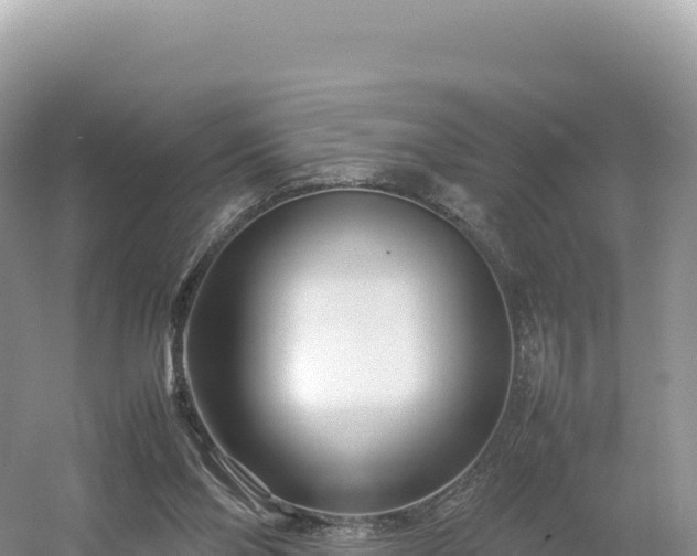 X0000054390110200508051658