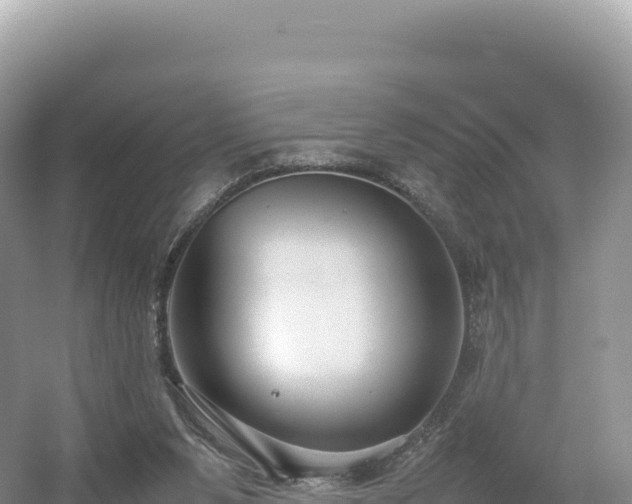 X0000054390111200508051658