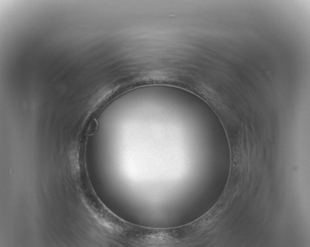 X0000054390112200508051658