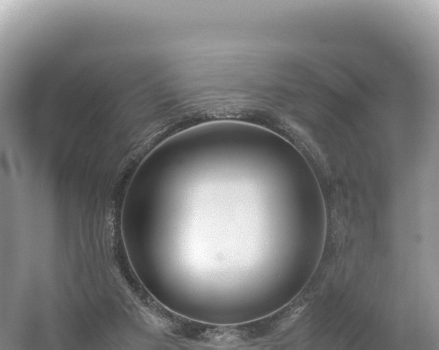 X0000054390113200508051658