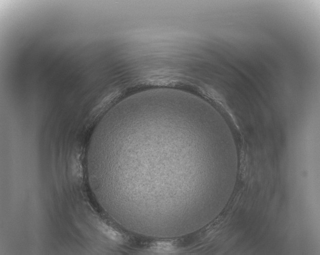 X0000054390114200508051657