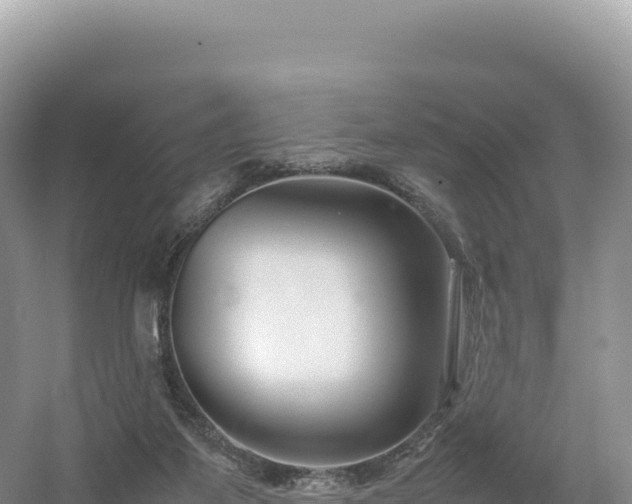 X0000054390115200508051657