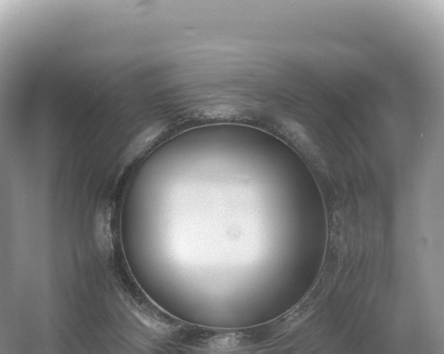 X0000054390116200508051657