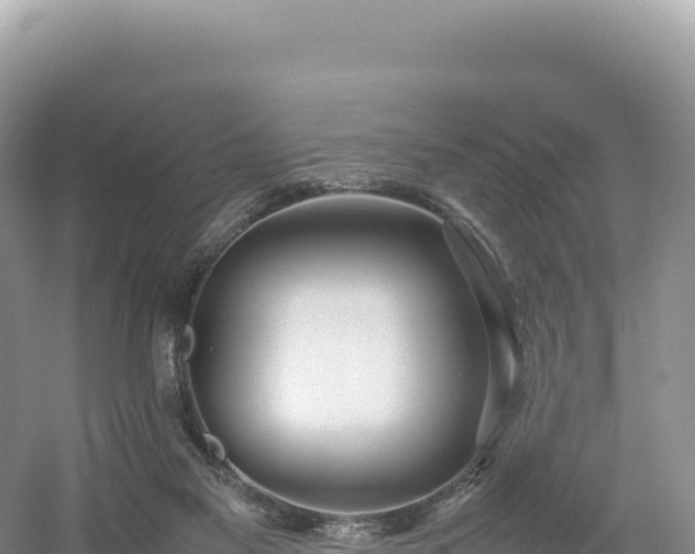 X0000054390117200508051657