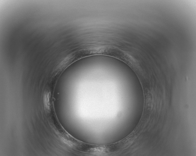 X0000054390118200508051657