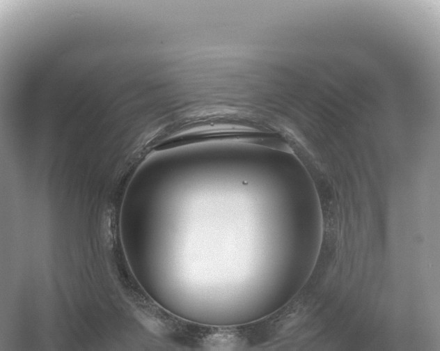 X0000054390119200508051657