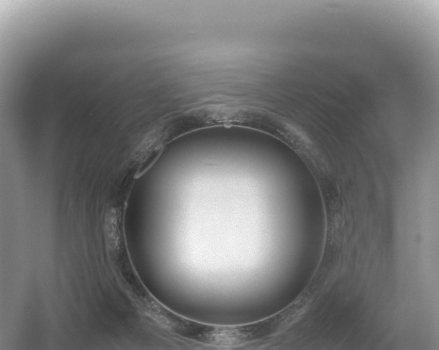 X0000054390121200508051657