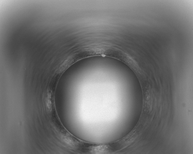 X0000054390122200508051657