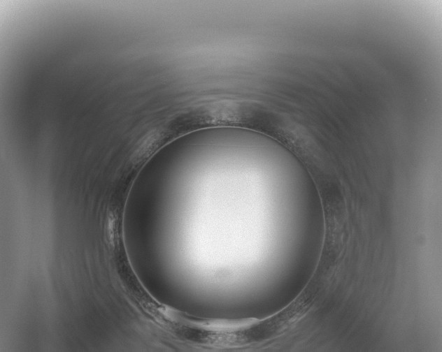 X0000054390123200508051657