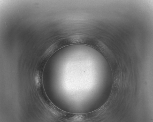 X0000054390124200508051657