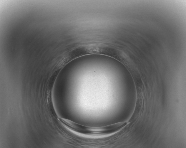 X0000054390125200508051657