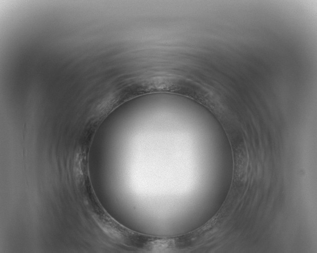 X0000054390126200508051657