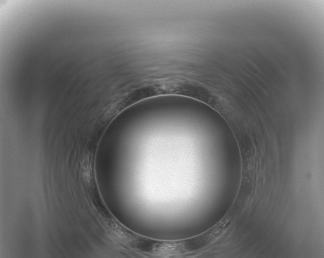 X0000054390129200508051657