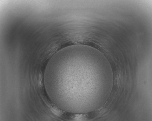 X0000054390130200508051657