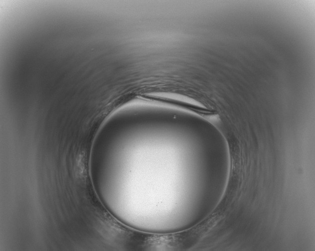 X0000054390131200508051657