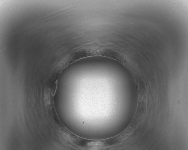 X0000054390133200508051657