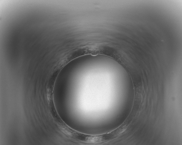 X0000054390135200508051657