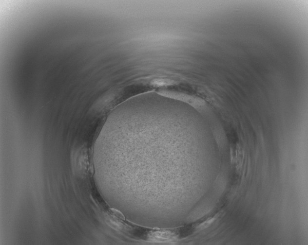 X0000054390137200508051657