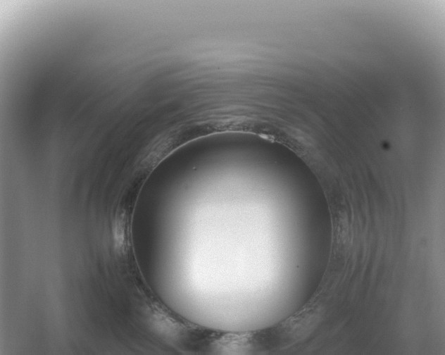 X0000054390138200508051657