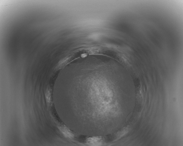 X0000054390139200508051657