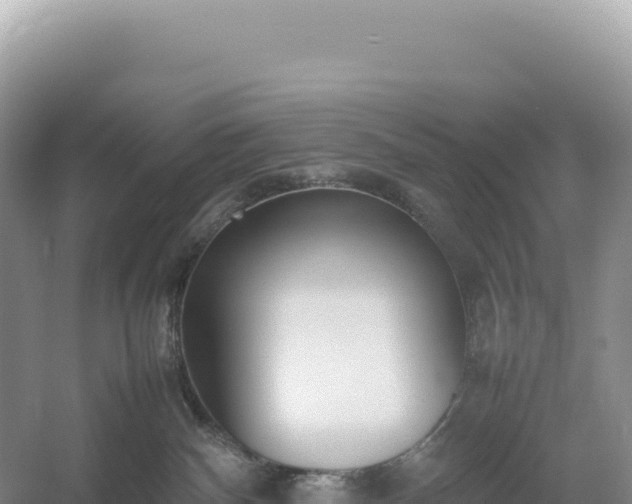 X0000054390140200508051657