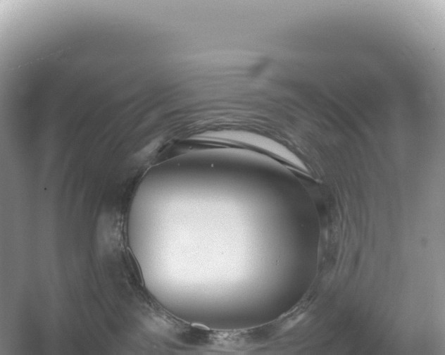 X0000054390141200508051657