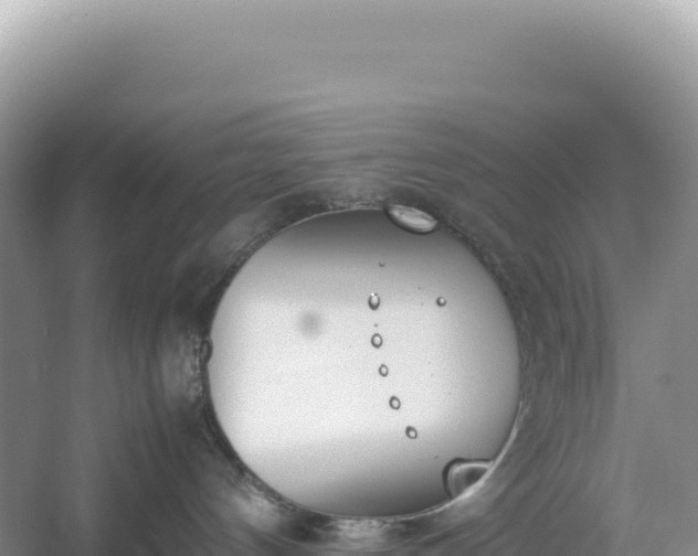 X0000054390144200508051657