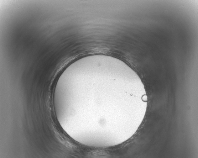 X0000054390146200508051656