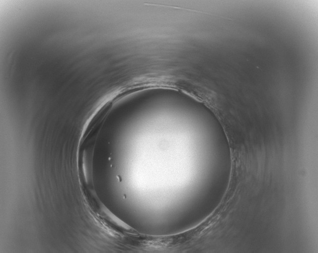 X0000054390148200508051656