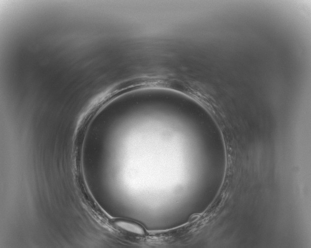 X0000054390149200508051656