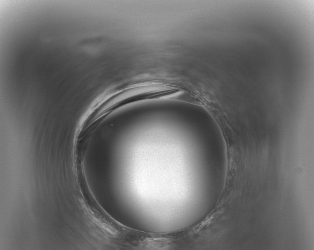 X0000054390150200508051656