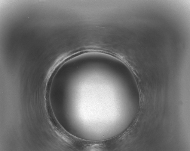 X0000054390151200508051656