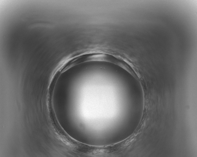 X0000054390152200508051656