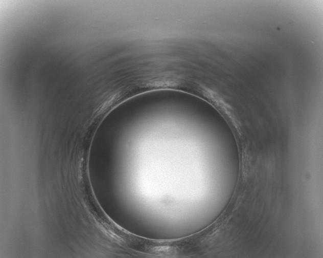 X0000054390153200508051656