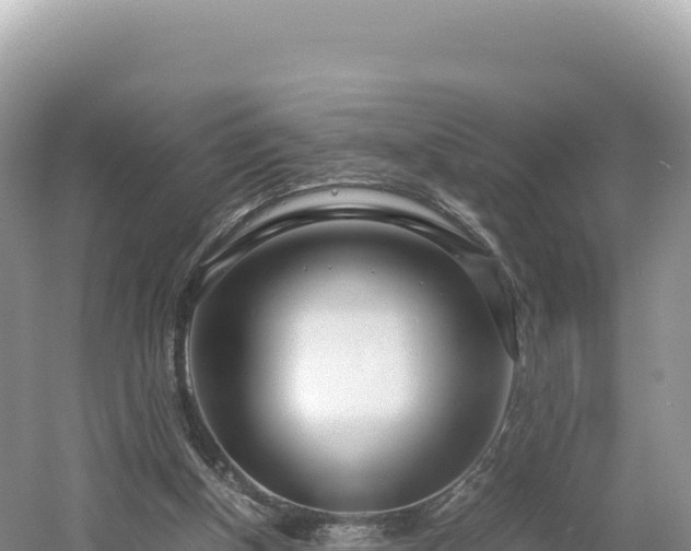 X0000054390154200508051656